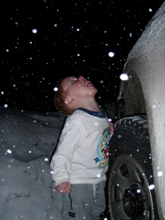 gavin