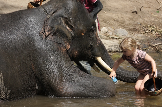 Callie giving her elephant a bath