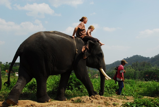 Catching a ride on BoonPak and the Patara Elephant Farm