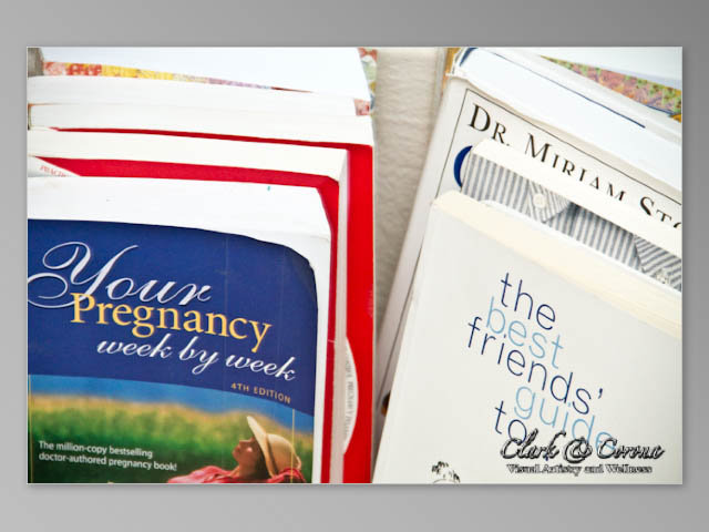 pregnancy books